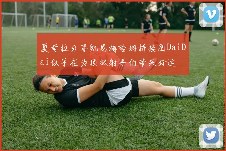 夏奇拉分享凯恩梅哈姆拼接图DaiDai似乎在为顶级射手们带来好运