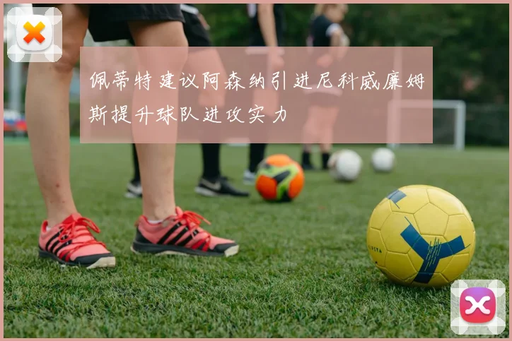 佩蒂特建议阿森纳引进尼科威廉姆斯提升球队进攻实力